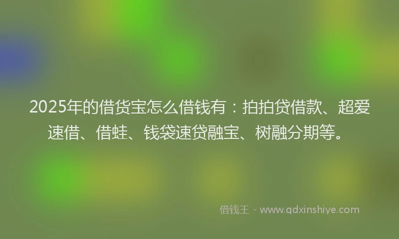 2025年的借货宝怎么借钱有：拍拍贷借款、超爱速借、借蛙、钱袋速贷融宝、树融分期等。