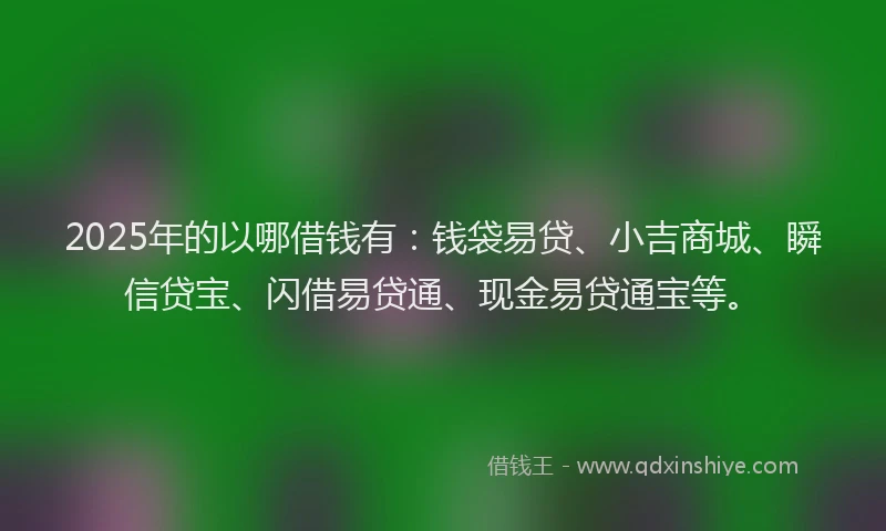 2025年的以哪借钱有：钱袋易贷、小吉商城、瞬信贷宝、闪借易贷通、现金易贷通宝等。