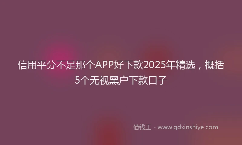 信用平分不足那个APP好下款2025年精选，概括5个无视黑户下款口子
