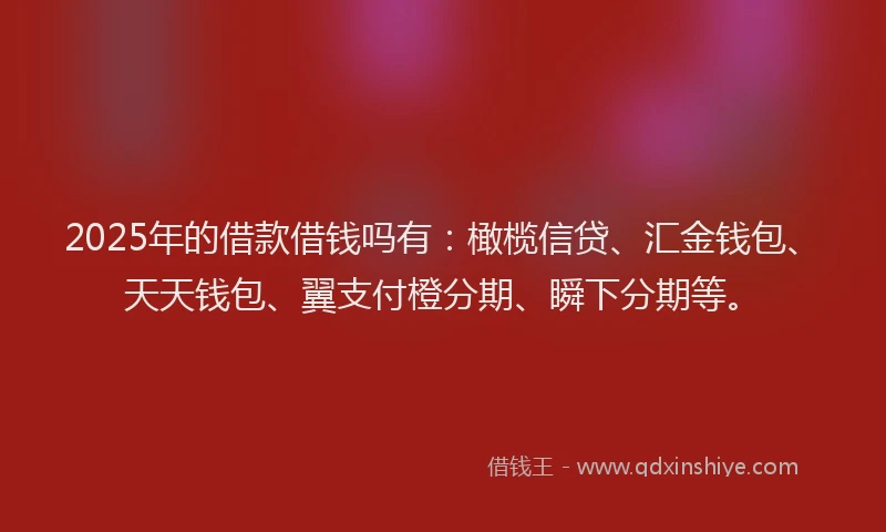 2025年的借款借钱吗有：橄榄信贷、汇金钱包、天天钱包、翼支付橙分期、瞬下分期等。