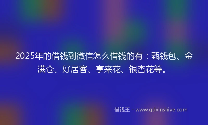 2025年的借钱到微信怎么借钱的有：甄钱包、金满仓、好居客、享来花、银杏花等。