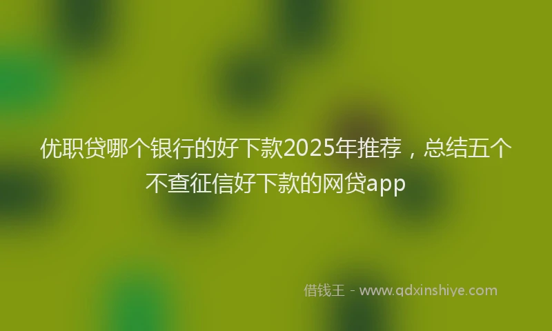 优职贷哪个银行的好下款2025年推荐，总结五个不查征信好下款的网贷app