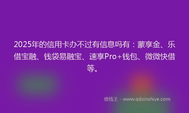 2025年的信用卡办不过有信息吗有：蒙享金、乐借宝融、钱袋易融宝、速享Pro+钱包、微微快借等。