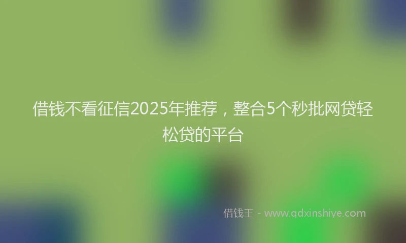 借钱不看征信2025年推荐，整合5个秒批网贷轻松贷的平台