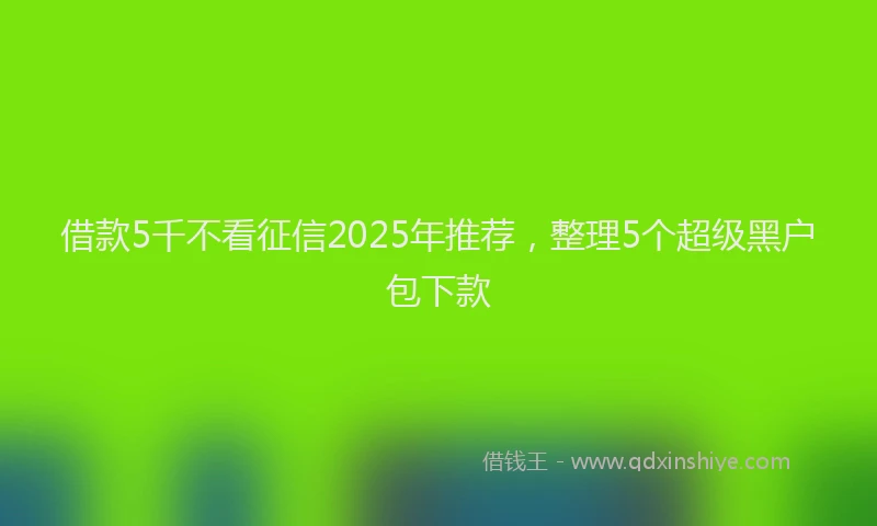 借款5千不看征信2025年推荐，整理5个超级黑户包下款