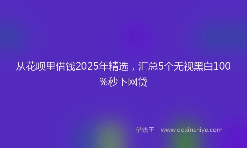 从花呗里借钱2025年精选，汇总5个无视黑白100%秒下网贷