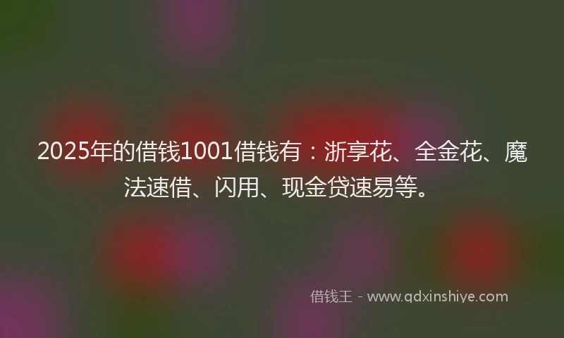 2025年的借钱1001借钱有：浙享花、全金花、魔法速借、闪用、现金贷速易等。