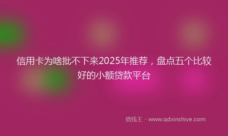 信用卡为啥批不下来2025年推荐，盘点五个比较好的小额贷款平台
