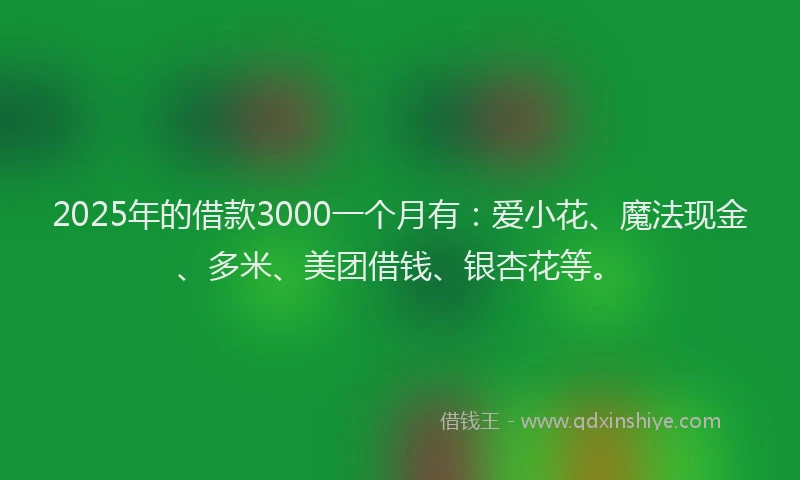 2025年的借款3000一个月有：爱小花、魔法现金、多米、美团借钱、银杏花等。