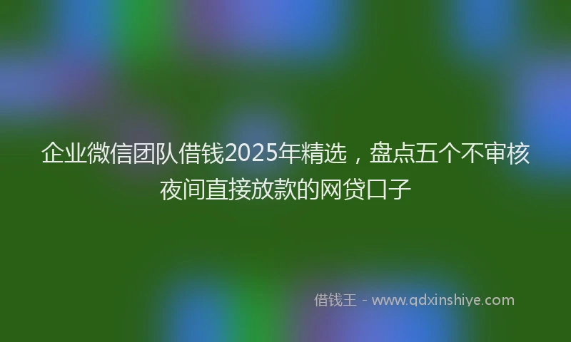 企业微信团队借钱2025年精选，盘点五个不审核夜间直接放款的网贷口子