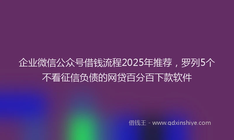 企业微信公众号借钱流程2025年推荐，罗列5个不看征信负债的网贷百分百下款软件