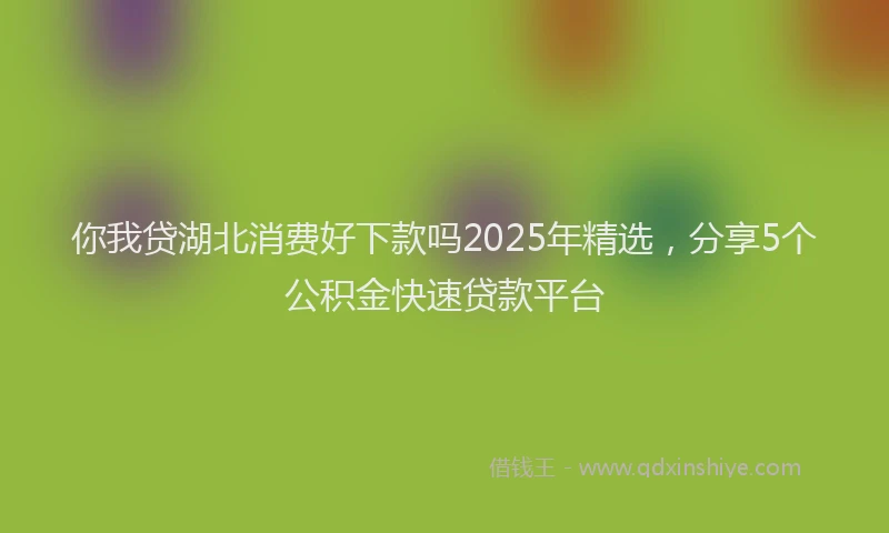 你我贷湖北消费好下款吗2025年精选，分享5个公积金快速贷款平台