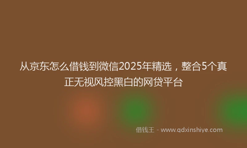 从京东怎么借钱到微信2025年精选，整合5个真正无视风控黑白的网贷平台