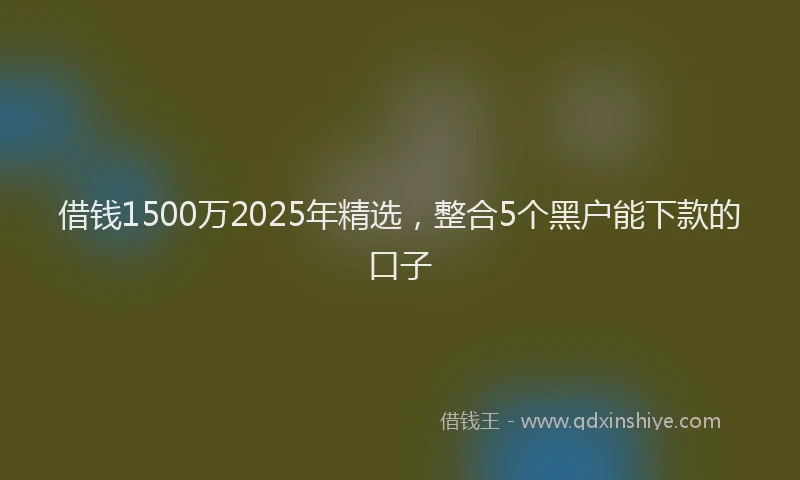 借钱1500万2025年精选，整合5个黑户能下款的口子