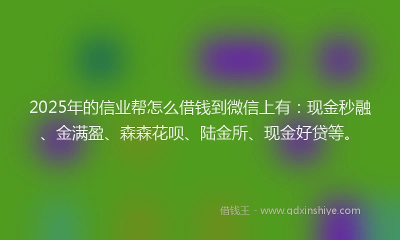 2025年的信业帮怎么借钱到微信上有：现金秒融、金满盈、森森花呗、陆金所、现金好贷等。