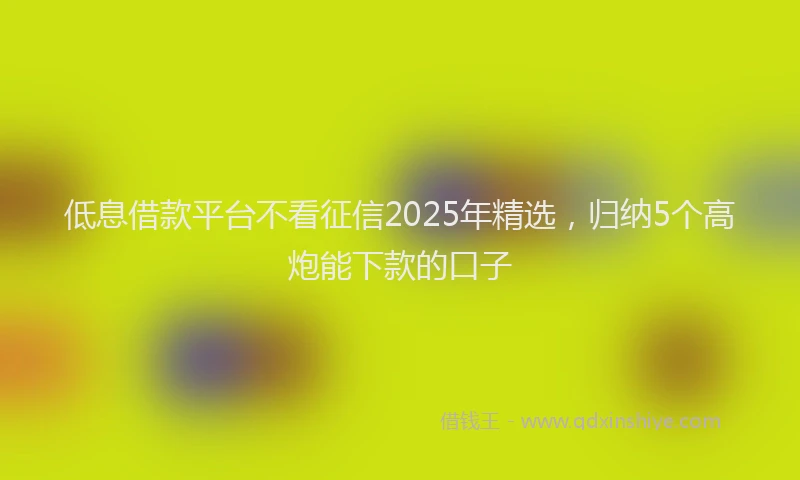 低息借款平台不看征信2025年精选，归纳5个高炮能下款的口子