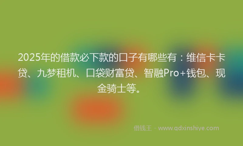 2025年的借款必下款的口子有哪些有：维信卡卡贷、九梦租机、口袋财富贷、智融Pro+钱包、现金骑士等。