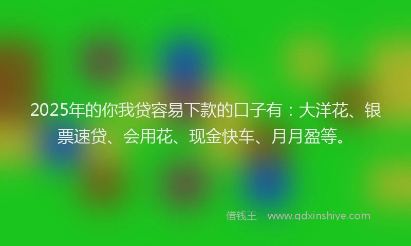 2025年的你我贷容易下款的口子有：大洋花、银票速贷、会用花、现金快车、月月盈等。