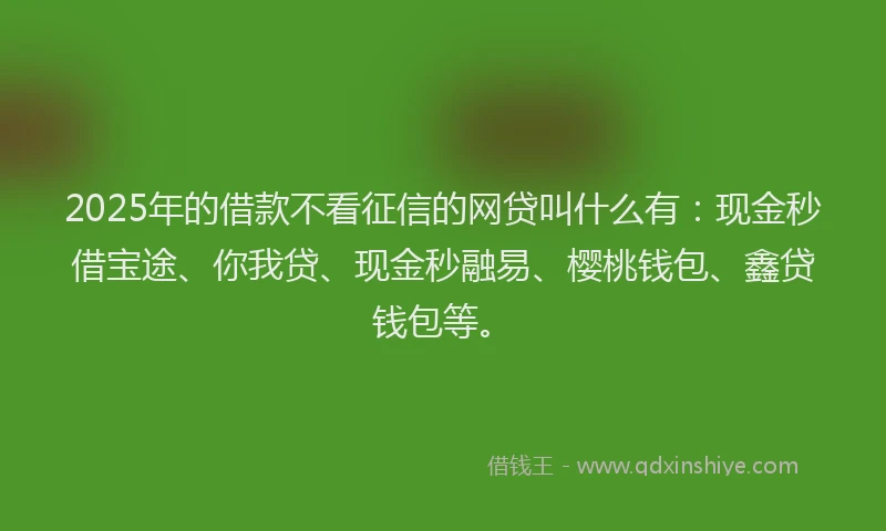2025年的借款不看征信的网贷叫什么有：现金秒借宝途、你我贷、现金秒融易、樱桃钱包、鑫贷钱包等。