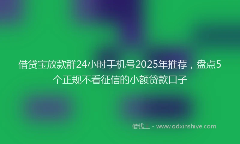 借贷宝放款群24小时手机号2025年推荐，盘点5个正规不看征信的小额贷款口子