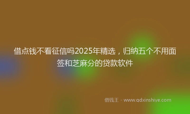借点钱不看征信吗2025年精选，归纳五个不用面签和芝麻分的贷款软件
