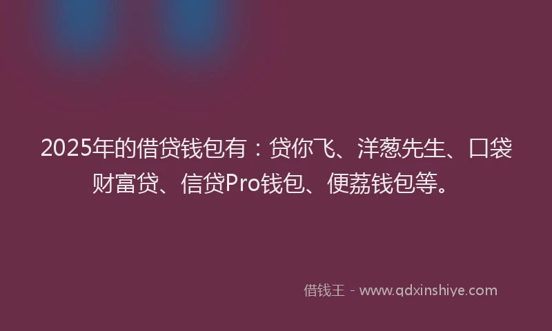 2025年的借贷钱包有：贷你飞、洋葱先生、口袋财富贷、信贷Pro钱包、便荔钱包等。