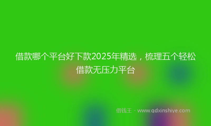 借款哪个平台好下款2025年精选，梳理五个轻松借款无压力平台
