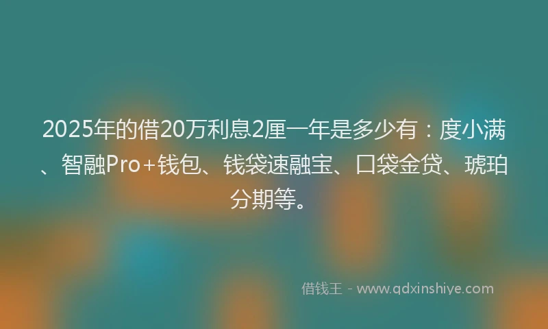 2025年的借20万利息2厘一年是多少有：度小满、智融Pro+钱包、钱袋速融宝、口袋金贷、琥珀分期等。
