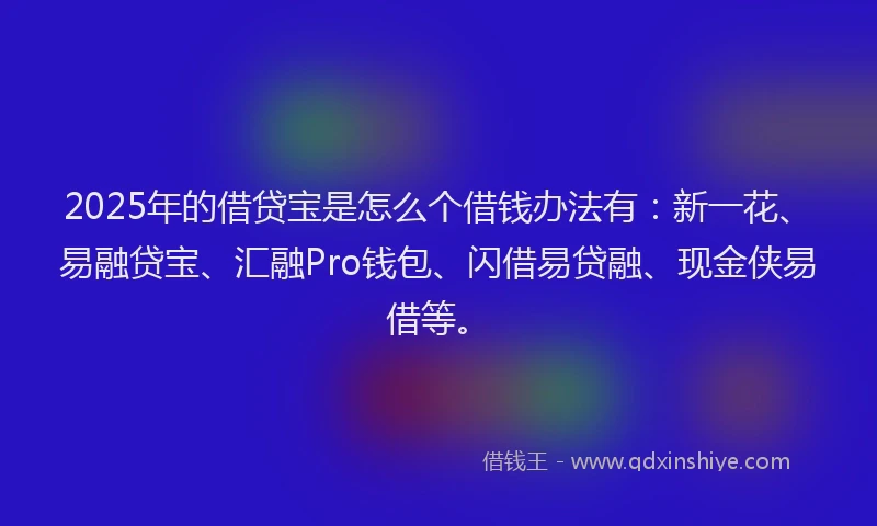 2025年的借贷宝是怎么个借钱办法有：新一花、易融贷宝、汇融Pro钱包、闪借易贷融、现金侠易借等。