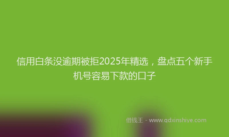 信用白条没逾期被拒2025年精选，盘点五个新手机号容易下款的口子