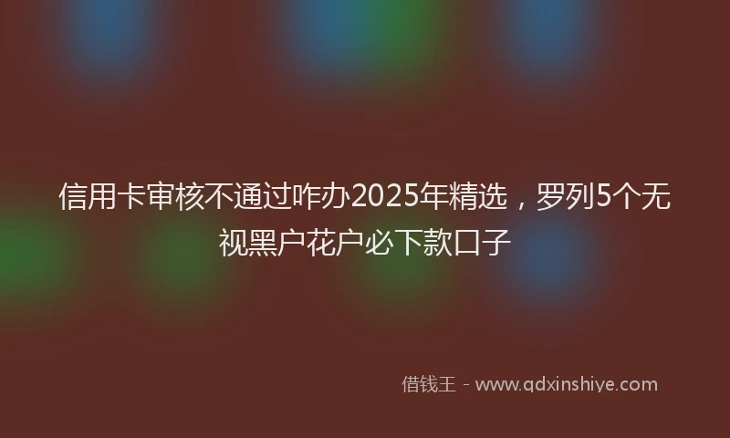 信用卡审核不通过咋办2025年精选，罗列5个无视黑户花户必下款口子