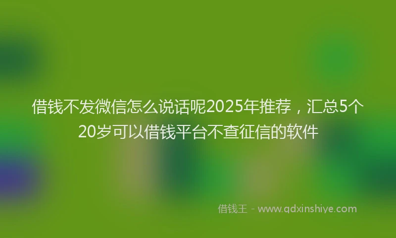 借钱不发微信怎么说话呢2025年推荐，汇总5个20岁可以借钱平台不查征信的软件