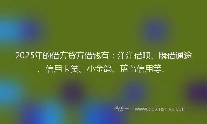 2025年的借方贷方借钱有：洋洋借呗、瞬借通途、信用卡贷、小金鸽、蓝鸟信用等。