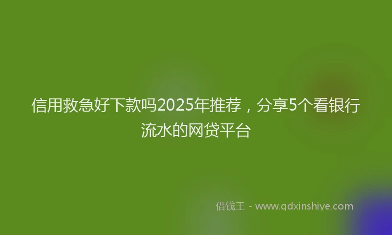 信用救急好下款吗2025年推荐，分享5个看银行流水的网贷平台