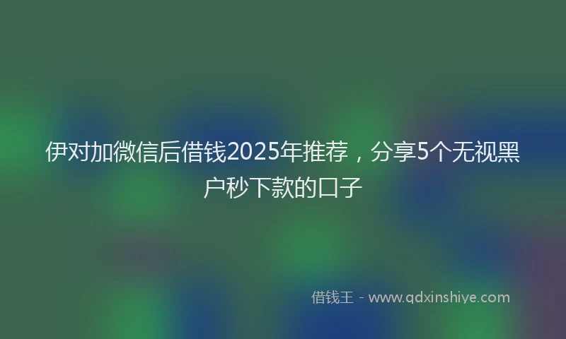 伊对加微信后借钱2025年推荐，分享5个无视黑户秒下款的口子