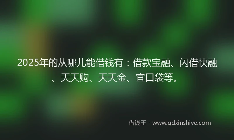 2025年的从哪儿能借钱有：借款宝融、闪借快融、天天购、天天金、宜口袋等。