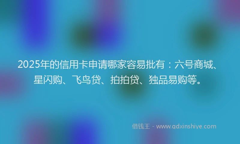 2025年的信用卡申请哪家容易批有：六号商城、星闪购、飞鸟贷、拍拍贷、独品易购等。