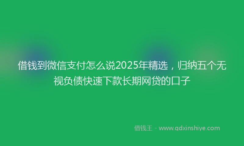借钱到微信支付怎么说2025年精选，归纳五个无视负债快速下款长期网贷的口子