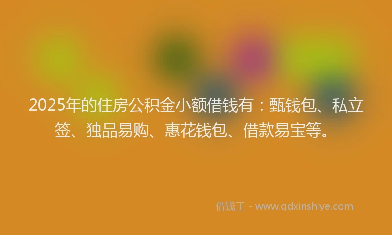 2025年的住房公积金小额借钱有：甄钱包、私立签、独品易购、惠花钱包、借款易宝等。