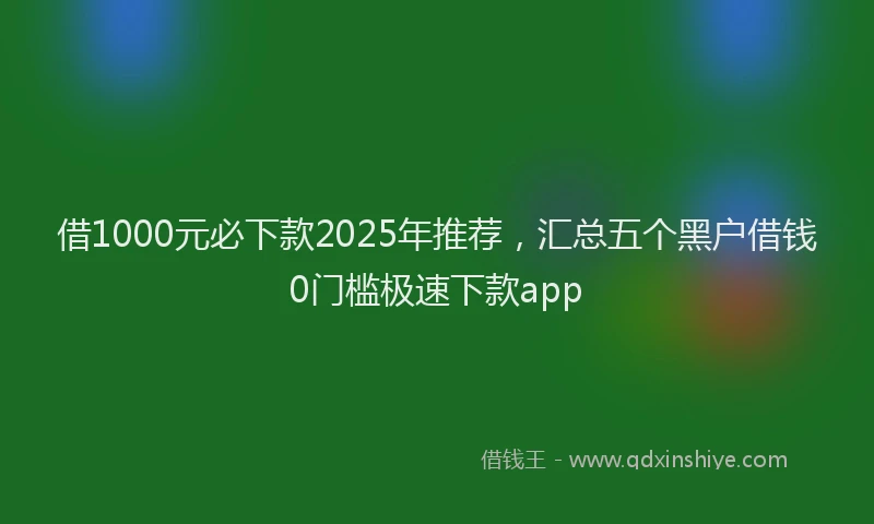借1000元必下款2025年推荐，汇总五个黑户借钱0门槛极速下款app