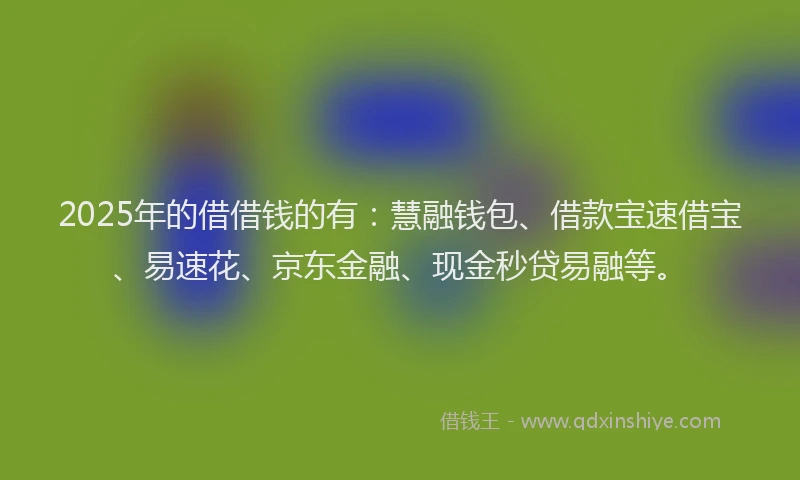 2025年的借借钱的有：慧融钱包、借款宝速借宝、易速花、京东金融、现金秒贷易融等。