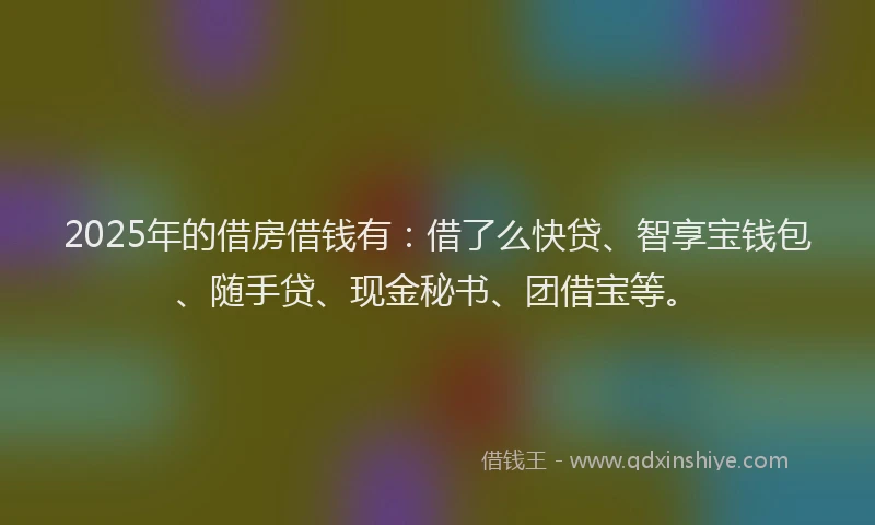 2025年的借房借钱有：借了么快贷、智享宝钱包、随手贷、现金秘书、团借宝等。