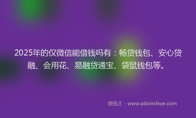 2025年的仅微信能借钱吗有：畅贷钱包、安心贷融、会用花、易融贷通宝、袋鼠钱包等。