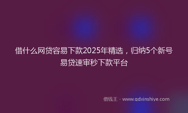 借什么网贷容易下款2025年精选，归纳5个新号易贷速审秒下款平台