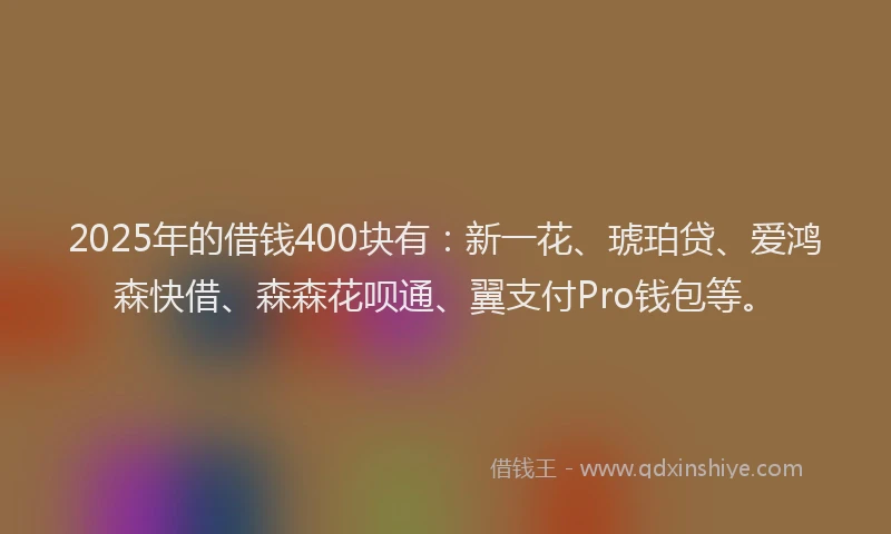 2025年的借钱400块有：新一花、琥珀贷、爱鸿森快借、森森花呗通、翼支付Pro钱包等。