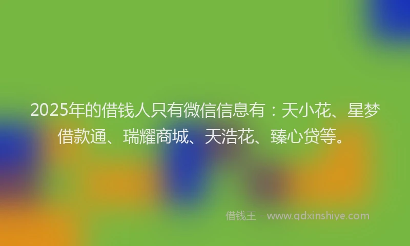 2025年的借钱人只有微信信息有：天小花、星梦借款通、瑞耀商城、天浩花、臻心贷等。