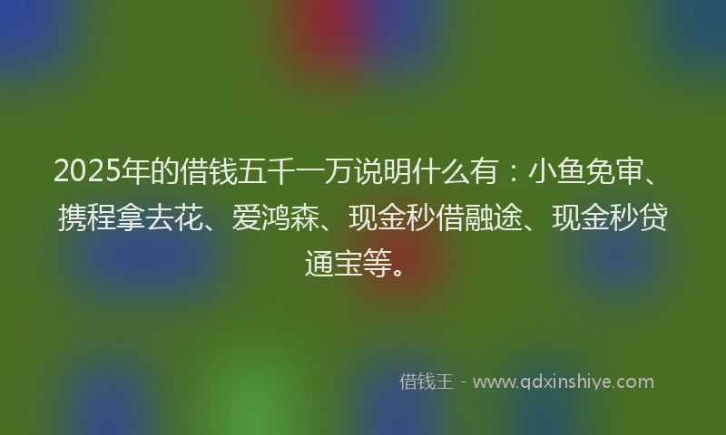2025年的借钱五千一万说明什么有：小鱼免审、携程拿去花、爱鸿森、现金秒借融途、现金秒贷通宝等。