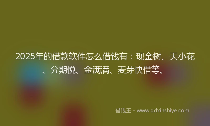 2025年的借款软件怎么借钱有：现金树、天小花、分期悦、金满满、麦芽快借等。