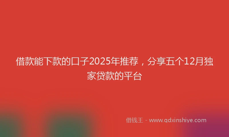借款能下款的口子2025年推荐，分享五个12月独家贷款的平台