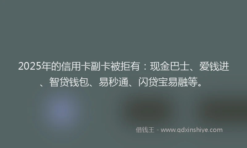2025年的信用卡副卡被拒有：现金巴士、爱钱进、智贷钱包、易秒通、闪贷宝易融等。
